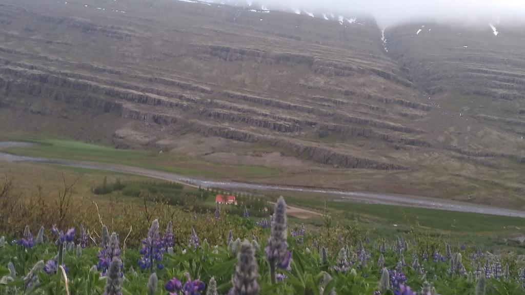 Fossardalur Guesthouse Djúpivogur Dış mekan fotoğraf
