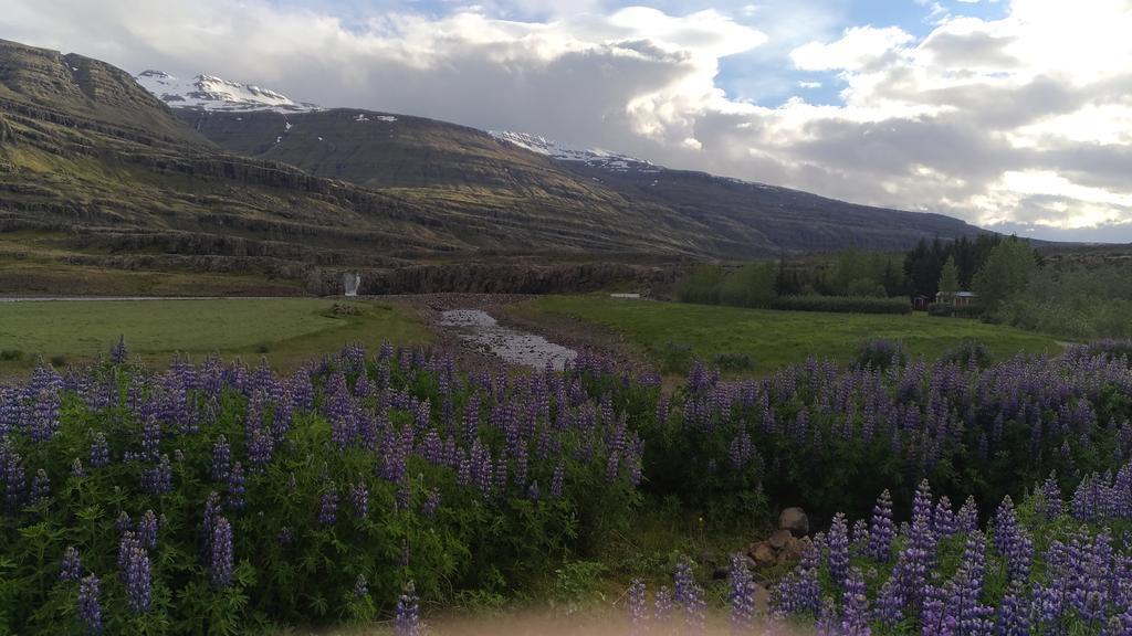 Fossardalur Guesthouse Djúpivogur Dış mekan fotoğraf